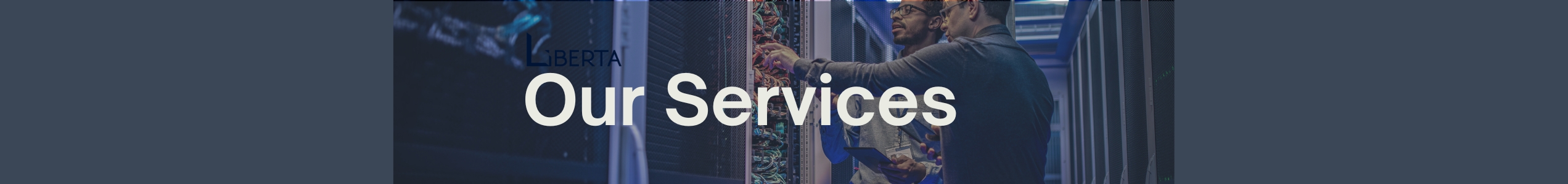 OurServicesBanner2543x300